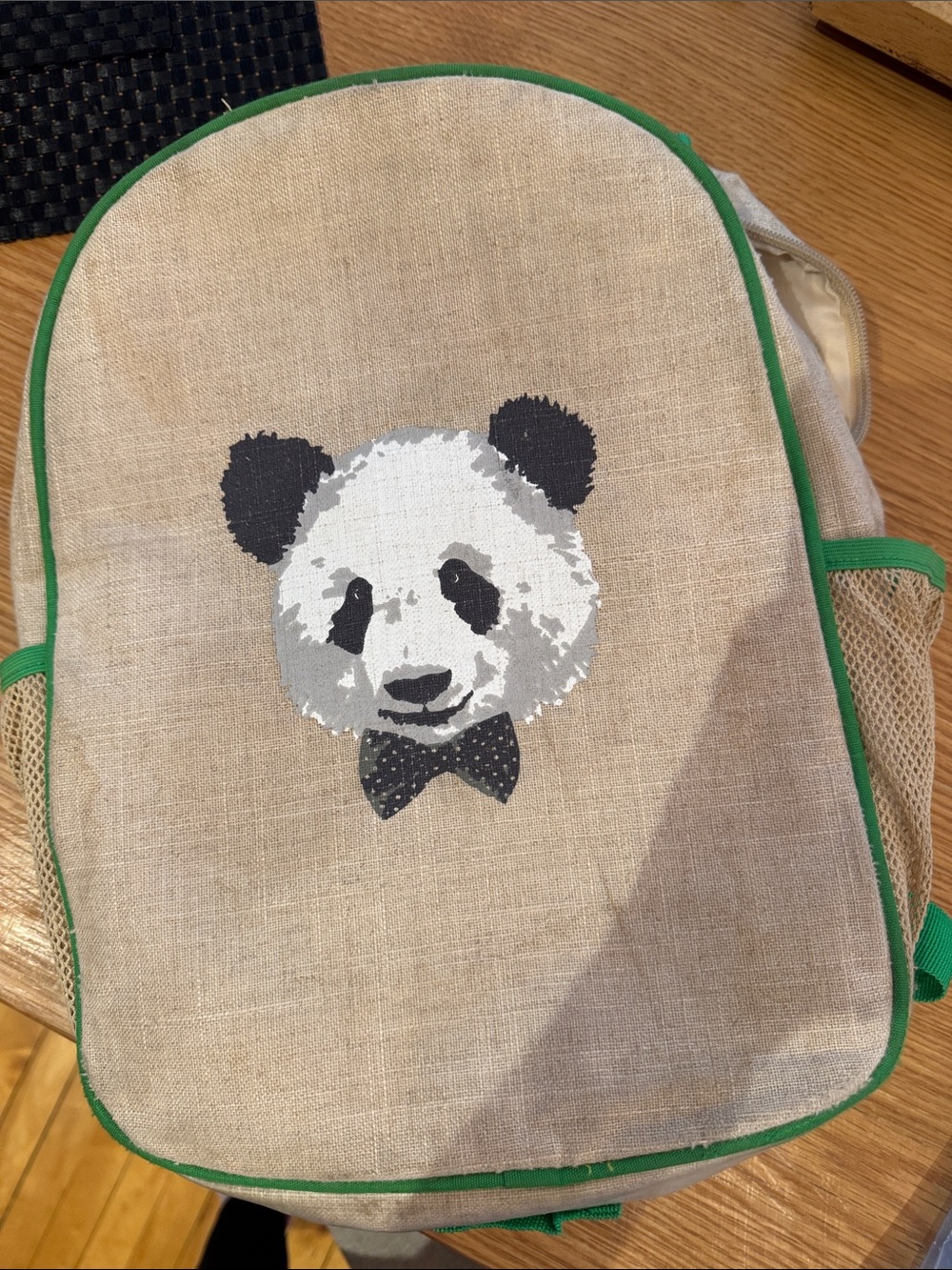 SoYoung junior Backpack with Green Trim and Panda Graphic
